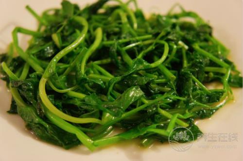 豌豆渾身都是寶,教你3個(gè)健康美味做法 豌豆渾身都是寶,教你3個(gè)健康美味做法