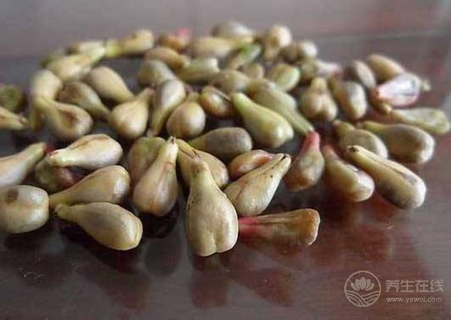 這些食物的籽對身體很好，別再扔掉了