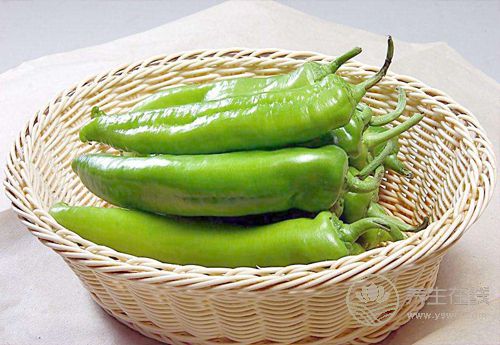 常吃青椒，對身體有這些好處，你知道嗎？