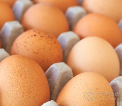 腎不好?4種食物能補腎,常吃讓腎漸漸“回力” 腎不好?4種食物能補腎,常吃讓腎漸漸“回力”