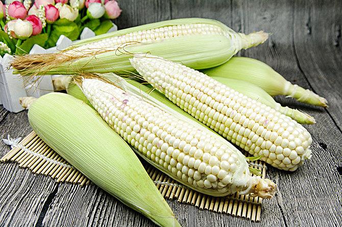 這幾種蔬菜是抗癌“高手”,吃起來不虧 這幾種蔬菜是抗癌“高手”,吃起來不虧