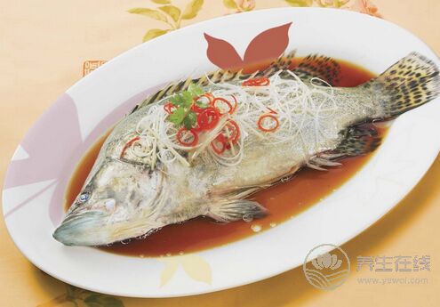 血液垃圾太多？別擔心，十種食物幫你凈化血液