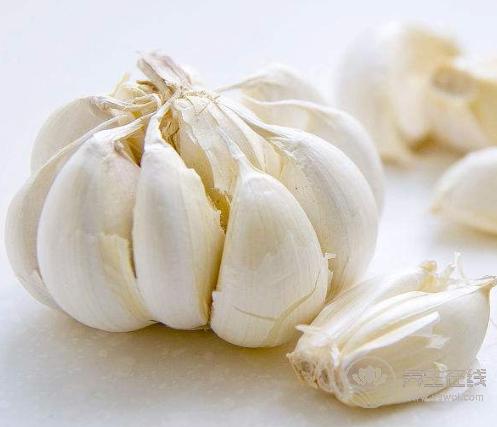 生活中常見的食物,居然能把血壓降下來 生活中常見的食物,居然能把血壓降下來