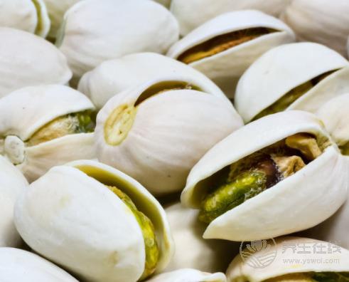3種堅果好吃又營養,常食對身體有益處 3種堅果好吃又營養,常食對身體有益處
