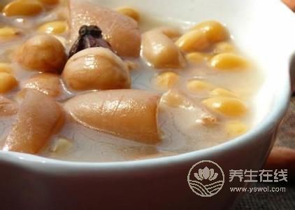 推薦3款含膠原蛋白食物，多吃更顯年輕
