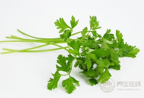 香菜雖然“臭”，但它的養生作用很多，不吃太可惜