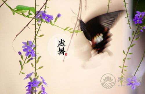 處暑養(yǎng)生要做的9件事 做好不生病 處暑養(yǎng)生要做的9件事 做好不生病