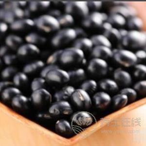生活中有哪些食物有補血作用?補血食物推薦 生活中有哪些食物有補血作用?補血食物推薦