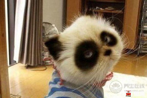 以為有黑眼圈就是睡眠不足？很多人都錯了
