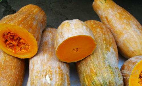 胃不好多吃這5種食物，助消化、減疼痛、修護(hù)胃黏膜