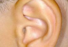 據(jù)說補(bǔ)腎不用吃藥，只要按摩耳朵即可