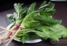 適合冬天吃的6種蔬菜，比吃肉還補