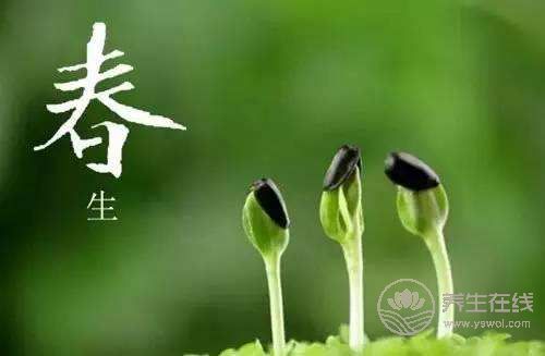 早春養(yǎng)生幾步走！讓你輕輕松松過春天