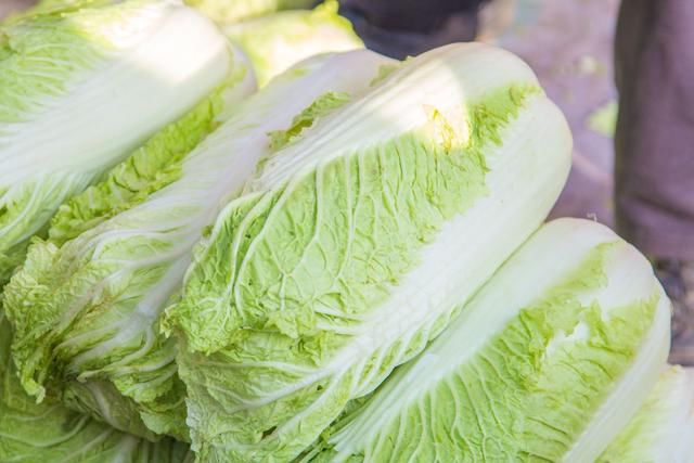 炒白菜的熱量以及吃白菜是否能夠減肥