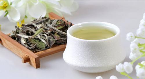 晚上喝白茶對(duì)于身體會(huì)產(chǎn)生哪些方面的影響
