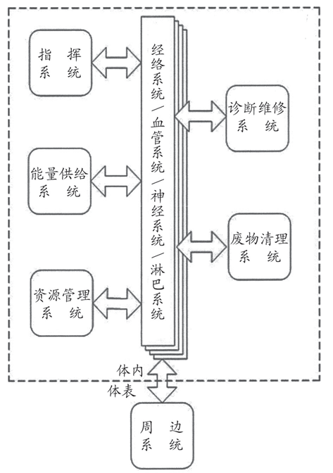 從中醫西醫的對比中 看人體的系統奧秘
