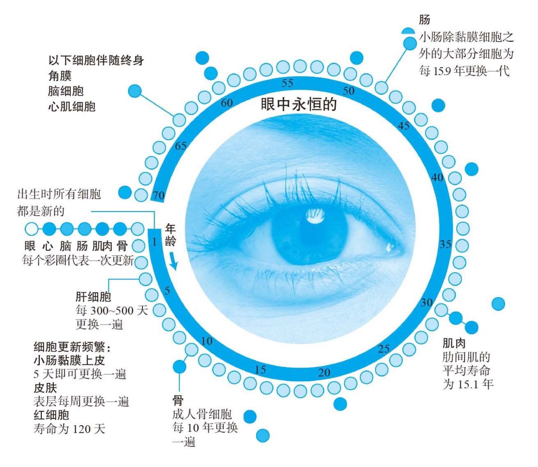 天天養(yǎng)生，為什么還是營(yíng)養(yǎng)不良，而且全身都是病？