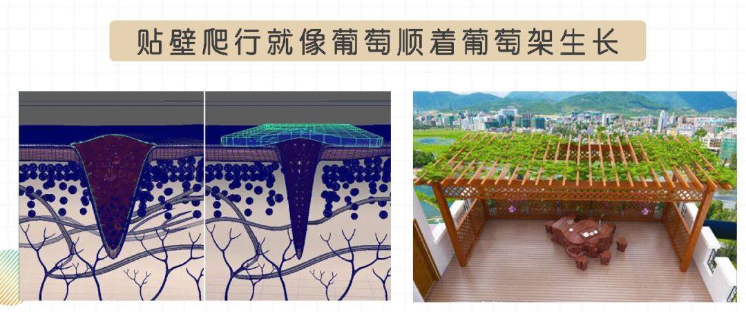 口腔潰瘍疼到崩潰?用它10秒止痛，2天就好，太神奇了！