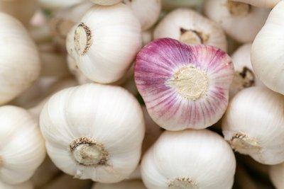 大蒜能夠抑制幽門螺桿菌但是兩種人不能吃