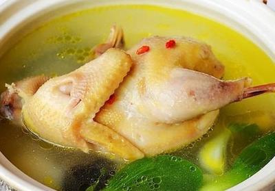 煲母雞除了補氣血之外還有哪些好處
