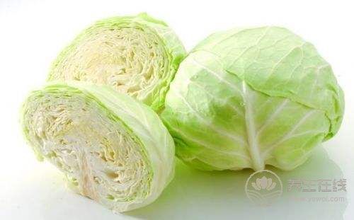暴強減肥食譜 素炒圓白菜 -易網健康<a href=http://www.aoa7937.com/jkys/ target=_blank class=infotextkey>養生</a>網 暴強減肥食譜 素炒圓白菜