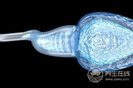 精子有什么好處?精子有什么功效?