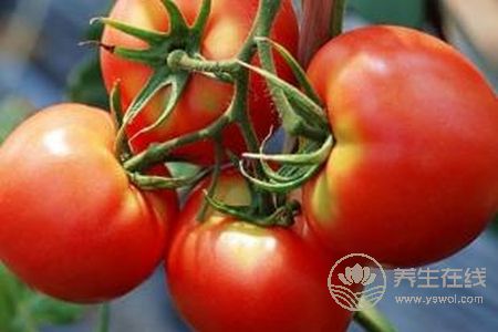 多吃西紅柿有什么好處?西紅柿營養(yǎng)價值有哪些?