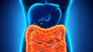 這四個(gè)對(duì)腸胃好的習(xí)慣應(yīng)該多多堅(jiān)持