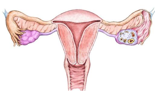 女性想要保持年輕那么卵巢一定要保護好