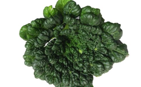 塔菜的營養(yǎng)價(jià)值以及塔菜功效與作用