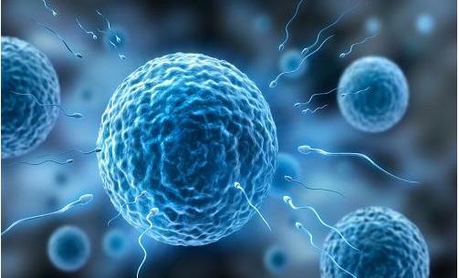 男性精子和性能力常見(jiàn)的錯(cuò)誤認(rèn)知解答