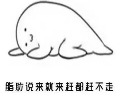 餐后一個奇妙動作，吃再好也不害怕長胖了