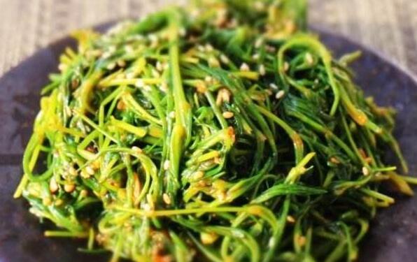 海蓬菜什么樣的人不應(yīng)多食 海蓬菜的禁忌