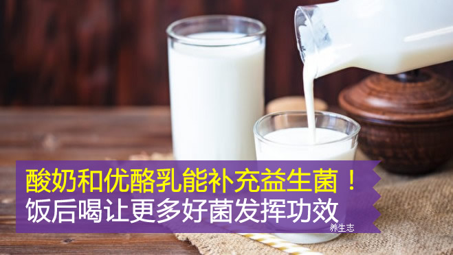 酸奶和優(yōu)酪乳能補充益生菌！飯后喝讓更多好菌發(fā)揮功效