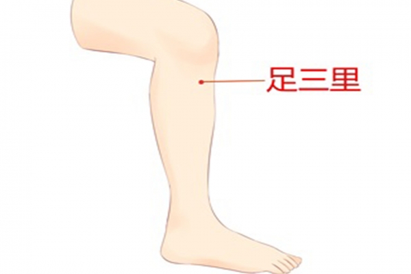 身體哪個穴位可以祛風祛濕 濕氣重時身體會有哪些表現