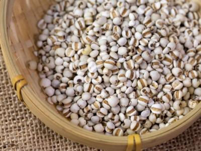 薏米怎么吃去濕氣效果好 食用薏米的注意事項