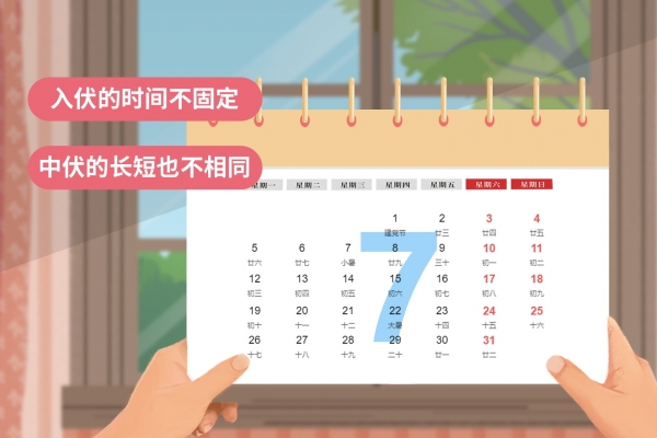 2024三伏天時間表 三伏天一般在哪兩個節氣之間