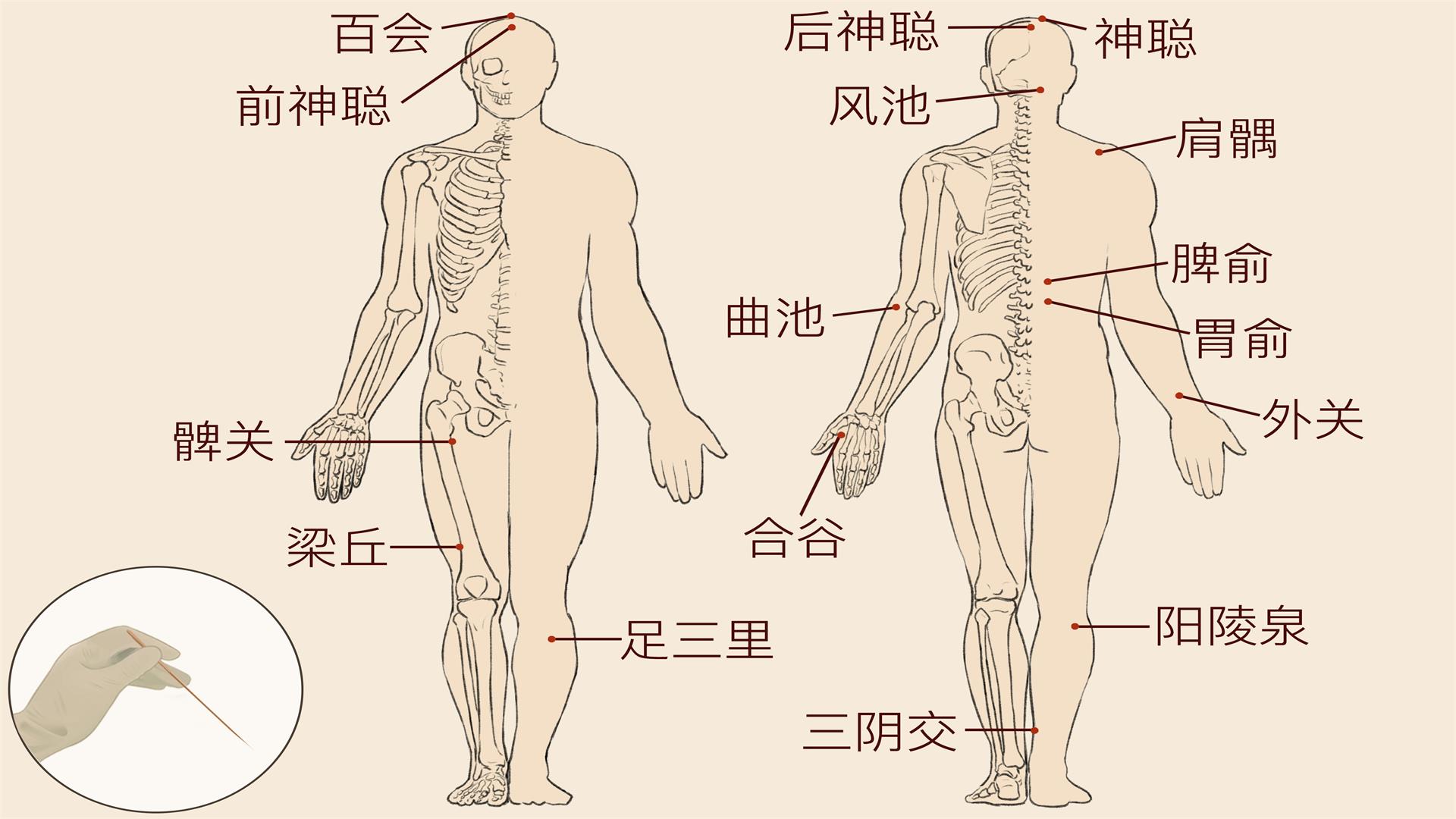 男性三伏天艾灸血海穴的好處 男性艾灸具體穴位