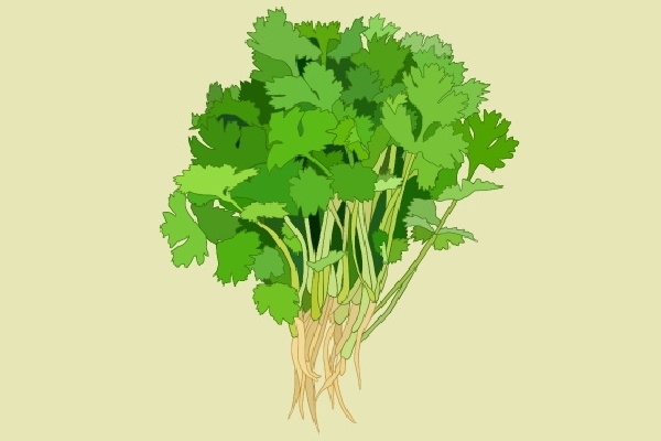 損傷陽(yáng)氣的日常行為 補(bǔ)陽(yáng)氣的食物有哪些