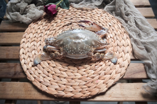 梭子蟹開鍋蒸多久最佳時間 六兩梭子蟹蒸多久-易網健康<a href=http://www.aoa7937.com/jkys/ target=_blank class=infotextkey>養生</a>網 梭子蟹開鍋蒸多久最佳時間 六兩梭子蟹蒸多久