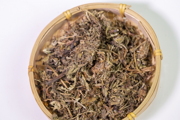 蒲公英加什么清熱祛濕 蒲公英的注意事項