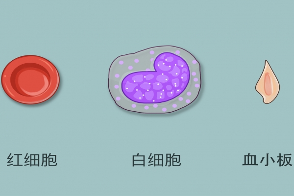電解質的正常值
