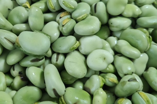 豆瓣醬的功效與作用、禁忌和食用方法