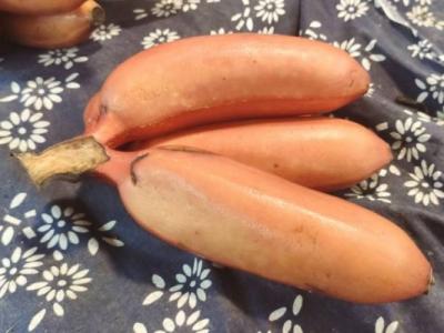 膽結(jié)石能不能吃香蕉