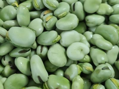 干蠶豆的功效與作用、禁忌和食用方法