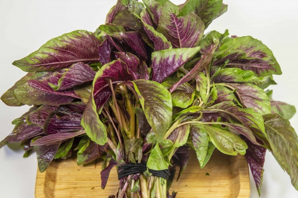 莧菜的功效與作用、禁忌和食用方法