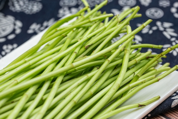 藜蒿的功效與作用、禁忌和食用方法