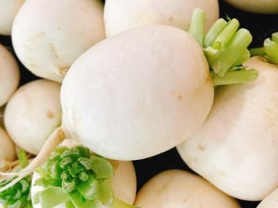 白蘿卜的功效與作用、禁忌和食用方法