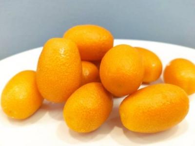 金桔的功效與作用、禁忌和食用方法