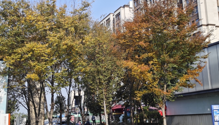 白露節氣物候有哪些特點 白露節氣的物候特點-易網<a href=http://www.aoa7937.com/ target=_blank class=infotextkey>健康養生</a>網 白露節氣物候有哪些特點 白露節氣的物候特點